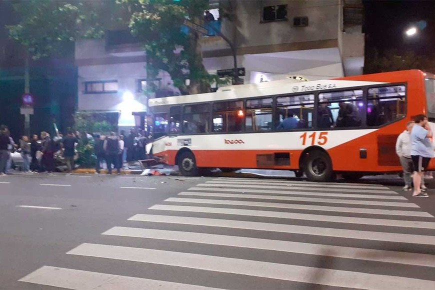 El colectivo terminó impactando contra un árbol.