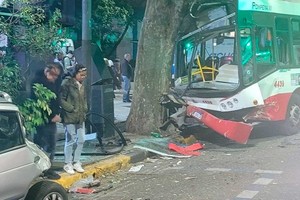 El colectivo terminó impactando contra un árbol.