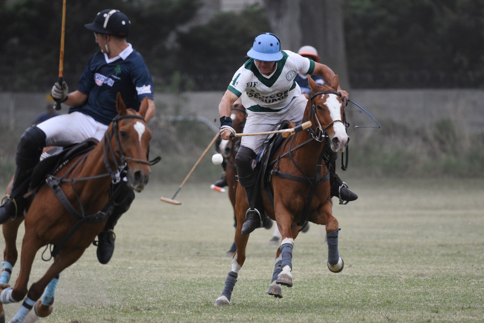 En la sumatoria de puntos, y a pesar de haber un triple empate en las posiciones finales, resultó ganador del trofeo el conjunto Urbano Polo por la cantidad de goles anotados.