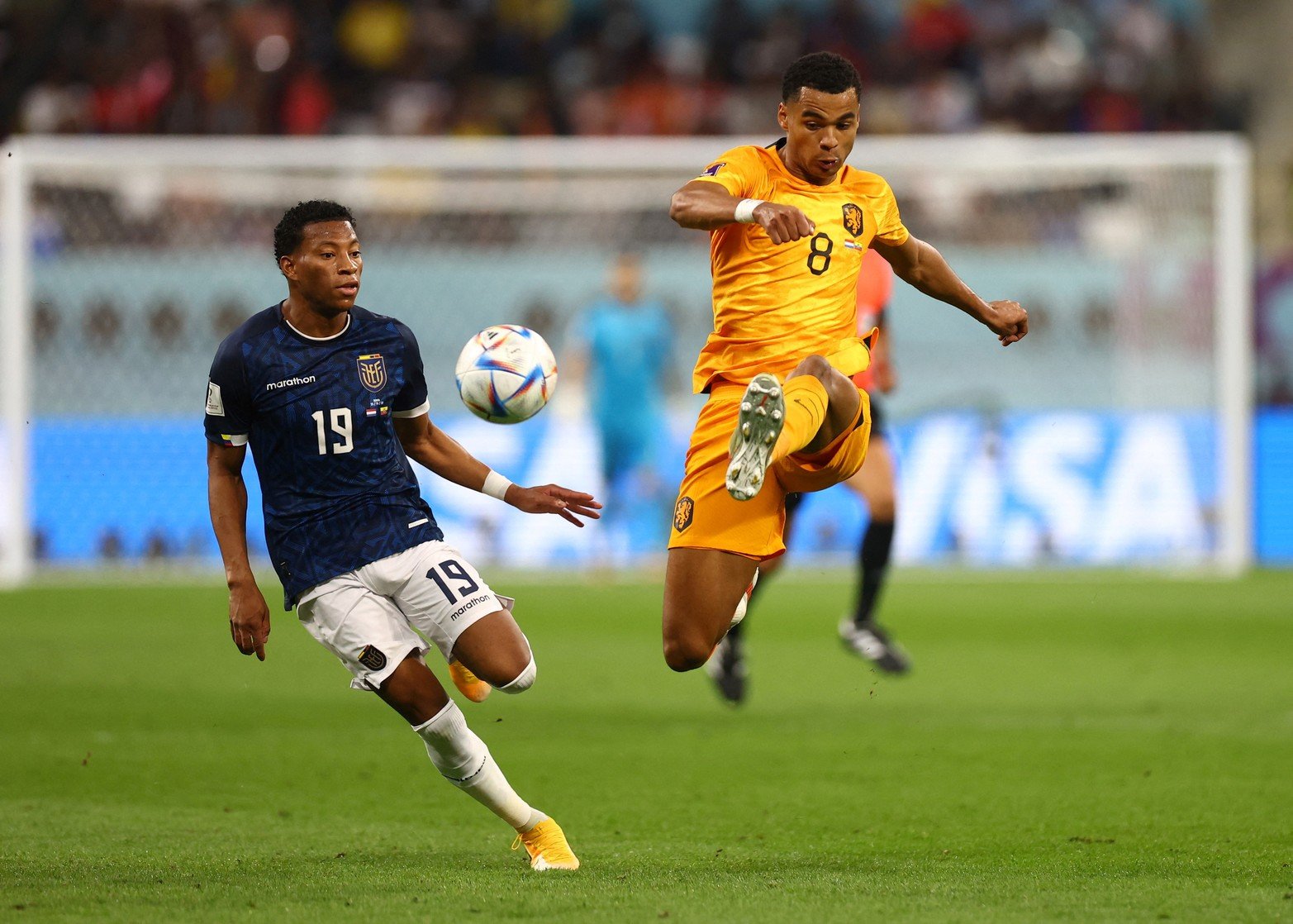 Por el grupo A, segunda fecha Ecuador enfrenta a Países Bajos.