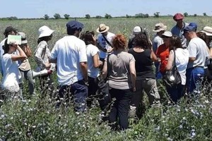 Renovando el compromiso de trabajar en pos del desarrollo territorial y el crecimiento sustentable de la región, en articulación con el cuidado del ambiente y la calidad de vida, la Facultad de Ciencias Agrarias de la Universidad Nacional del Litoral se encuentra trabajando en la implementación del proyecto, en red con otras importantes organizaciones. Foto: UNL