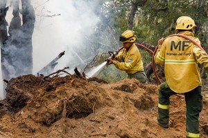 En Tierra del Fuego  trabajan 85 combatientes y personal de apoyo técnico y logístico pertenecientes a la Brigada Nacional Sur.