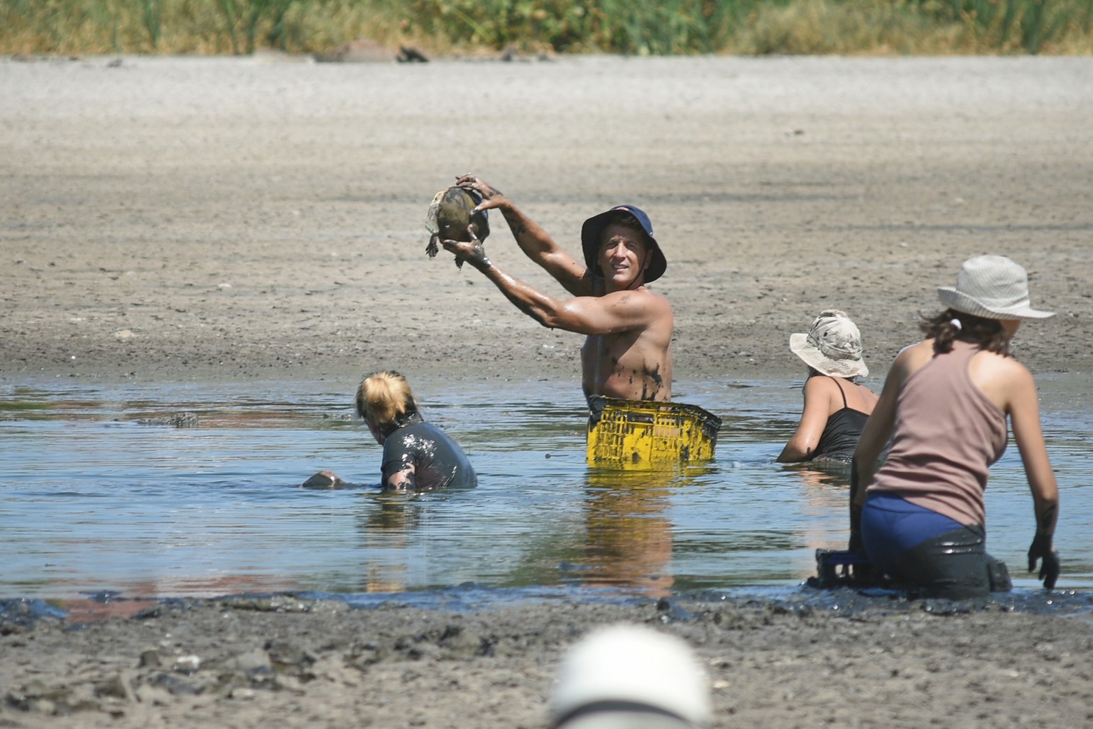 Rescate de tortugas. La Mesa Territorial Ambiental de Santo Tomé se hizo presente en la laguna Juan de Garay para rescatar a las tortugas que ha-bitan en el lugar y que quedaron atrapadas como consecuencia de la bajante.