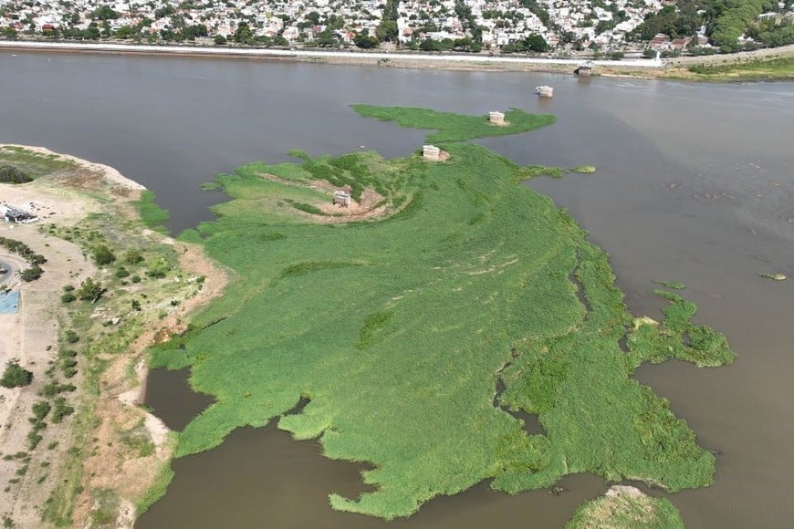 Kayakistas piden que se remueva el impresionante camalotal para que ese sector de la laguna quede liberado. Créditos: Fernando Nicola