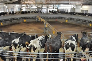 Piden asistencia para los productores afectados por la sequía, para garantizar el abastecimiento interno.