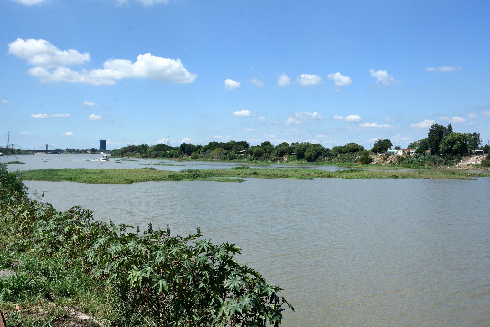 La isla de embalsados ahora circula por el río Santa Fe  sin afectar la navegación.  Sí cubre un 80 por ciento del ancho por lo que se solicita precaución.