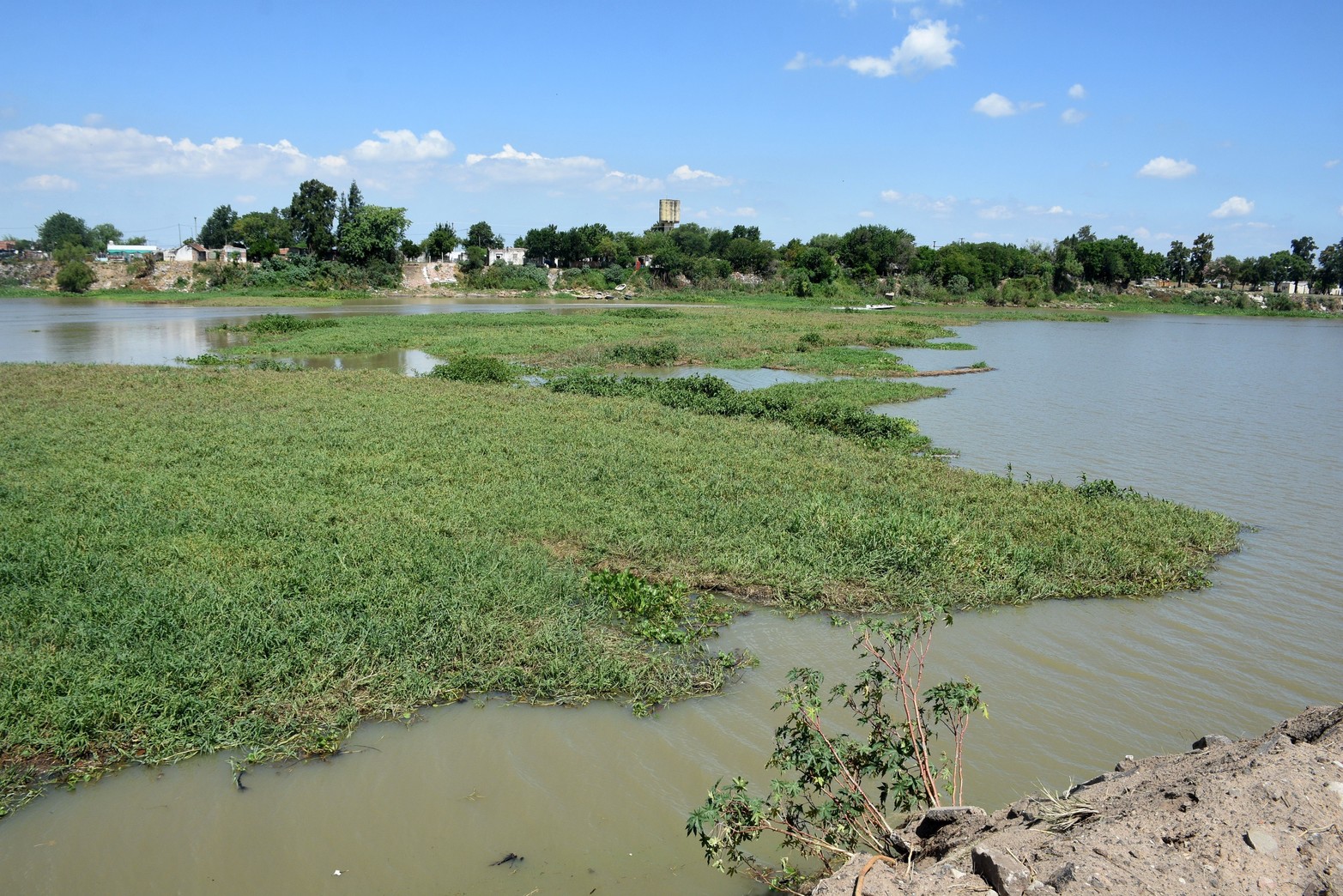 La isla de embalsados ahora circula por el río Santa Fe sin afectar la navegación.  Sí cubre un 80 por ciento del ancho por lo que se solicita precaución.