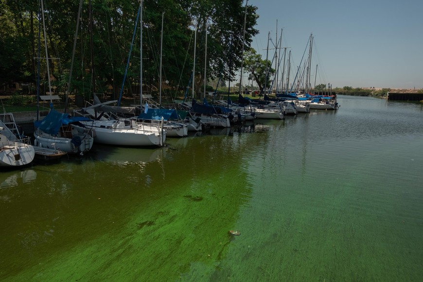 El alerta rige para la localidad de Quilmes y el Canal acceso al Puerto en Ensenada. Crédito:  Télam.