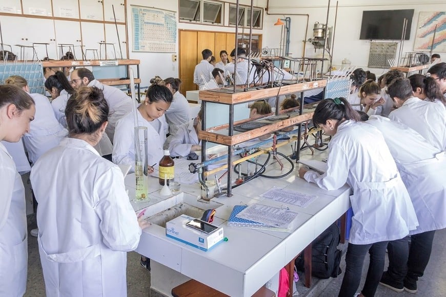 Estudiantes haciendo prácticas de laboratorio en FBCB-UNL. Crédito: FBCB