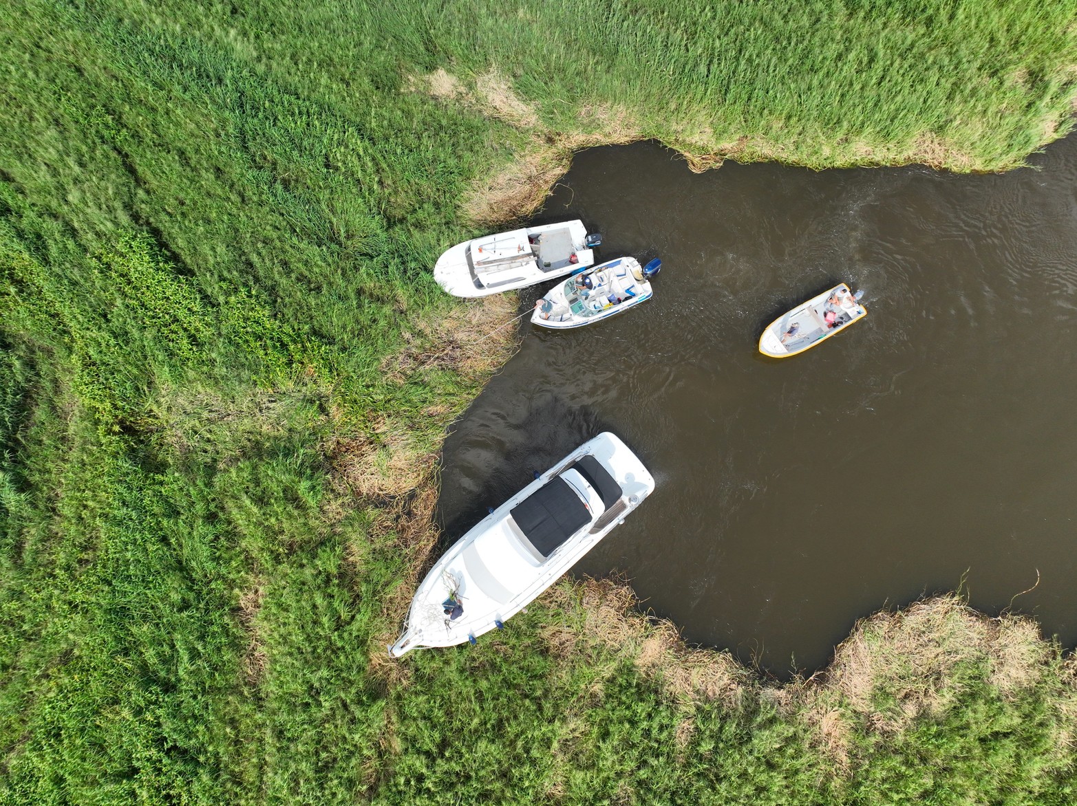 Son un grupo de amantes del río que pretenden acceder a la laguna para disfrutar la navegación. Una pared compacta de extensa vegetación acuática impide el ingreso.