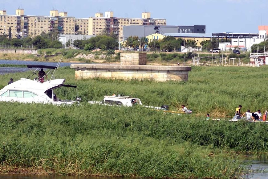 La vegetación se adueñó de un sector de la Setúbal. Crédito: Luis Cetraro