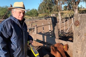 En la manga. Canosa enfatizó la gran oportunidad que encierra la ganadería para el país.