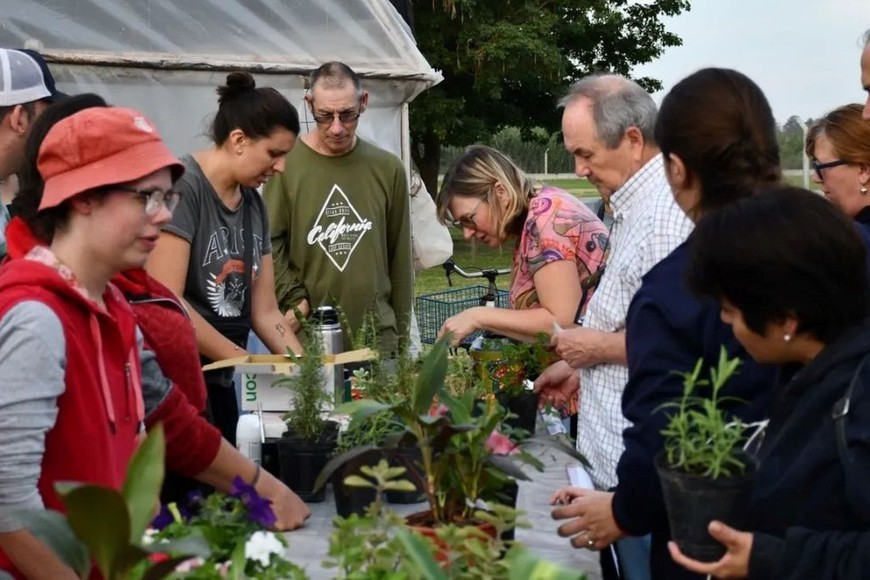 A cambio de los materiales reciclables, los vecinos recibieron "monedas verdes", que pudieron canjear por productos saludables y orgánicos ofrecidos por las instituciones.