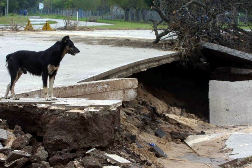 El daño provocado por la inundación en el Parque del Sur. Crédito: Télam