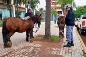 Chaco a caballo