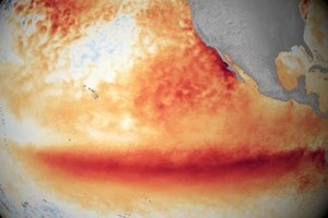 Aquí se ve cómo El Niño calentó la superficie del Pacífico en 2015. Créditos: Science Photo Library