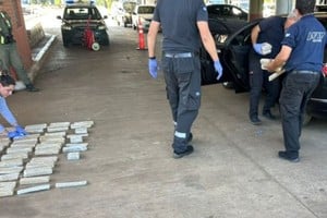 Un perro de la Aduana descubrió un cargamento de marihuana valuado en 33 millones de pesos en el asiento trasero de un auto.