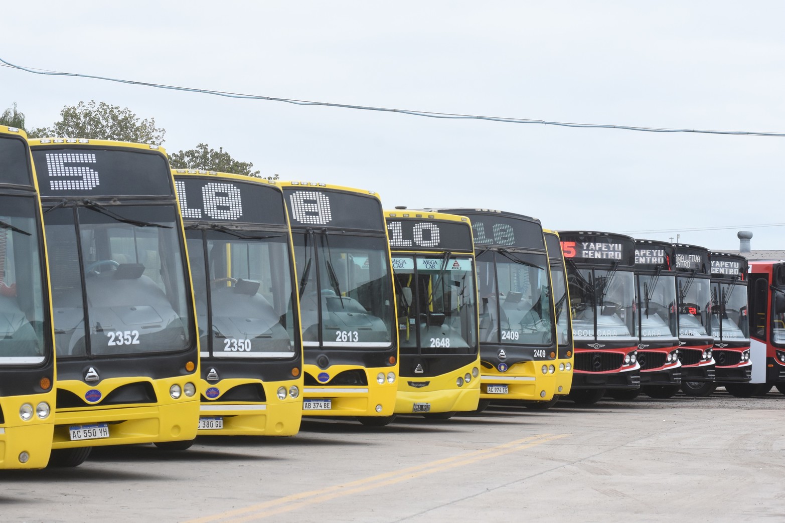 Se renuevan las unidades en el transporte urbano de Santa Fe. 
Fotos: Manuel Fabatía