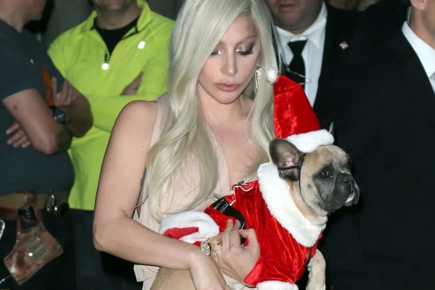 Lady Gaga se niega a pagar recompensa por perros robados.