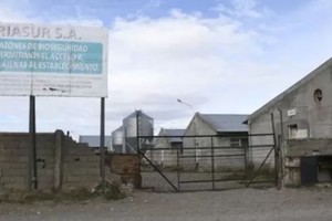 El establecimiento porcino donde trabajó el ciudadano chileno.