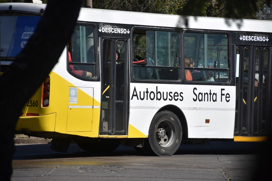 colectivos