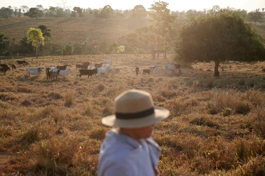FILE PHOTO: Maria de Almeida 61, daughter of Gertrudes Freire, walks next the cattle at their property in Ouro Preto do Oeste, Rondonia state, Brazil, August 11, 2021. Picture taken August 11, 2021. REUTERS/Ricardo Moraes/File Photo