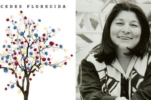 Portada del álbum homenaje "Mercedes Florecida" y retrato de la artista