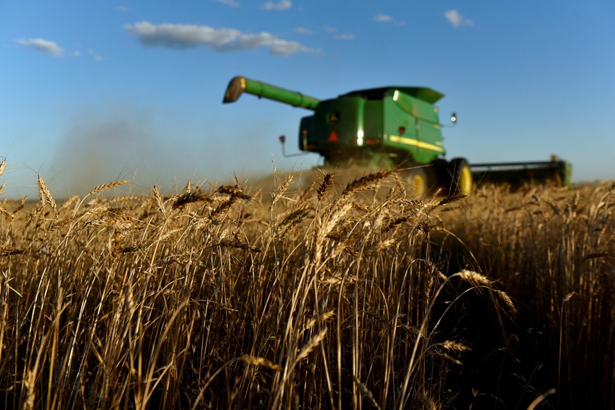 FILE PHOTO: A combine harvests wheat in Corn, Oklahoma, U.S., June 12, 2019.  REUTERS/Nick Oxford/File Photo