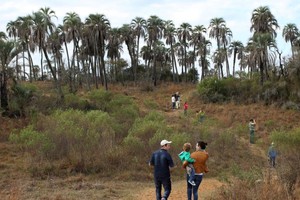 El Parque Nacional El Palmar está ubicado en el sudeste de la provincia de Entre Ríos.