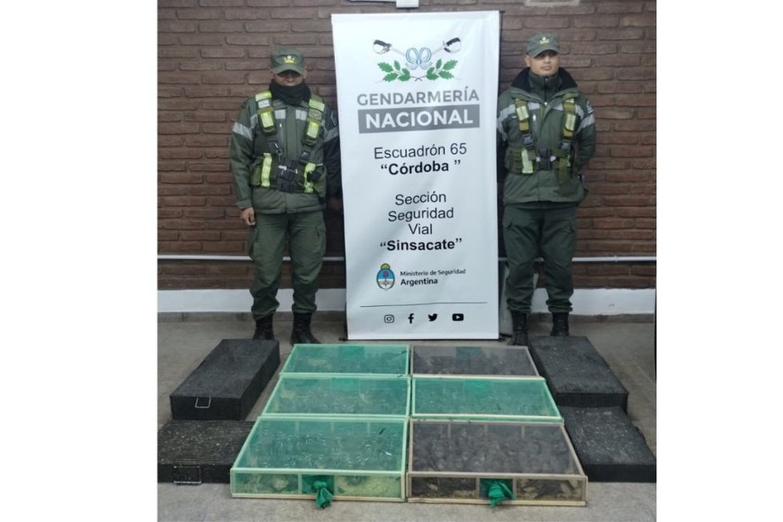 Crédito: Gendarmería Nacional.