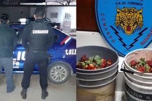 Los baldes con frutillas secuestrados en poder del delincuente, acusado de "Hurto calificado".