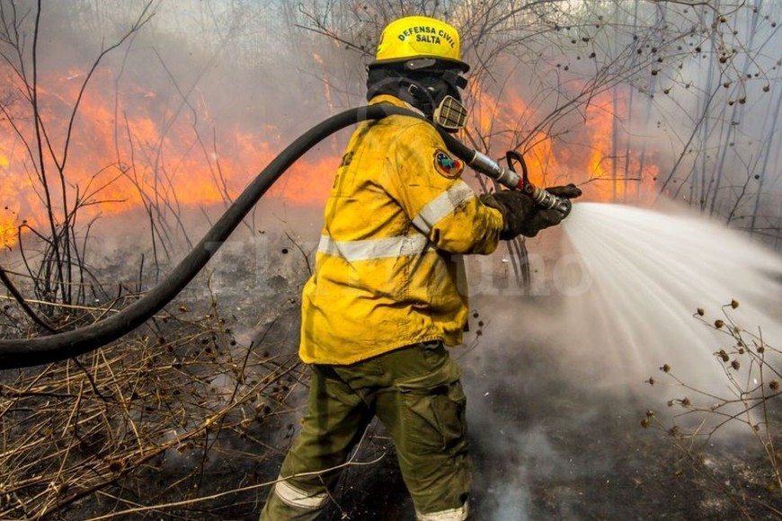 Las provincias de Mendoza, Catamarca, Salta y Tucumán registraban este jueves incendios