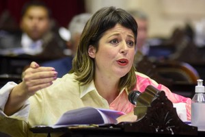 La titular de la comisión, Carolina Gaillard.