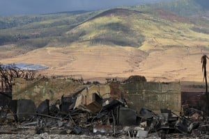 A view of burned debris after wildfires devastated the historic town of Lahaina, Maui, Hawaii, U.S., August 10, 2023. Hawai'i Department of Land and Natural Resources/Handout via REUTERS   THIS IMAGE HAS BEEN SUPPLIED BY A THIRD PARTY.