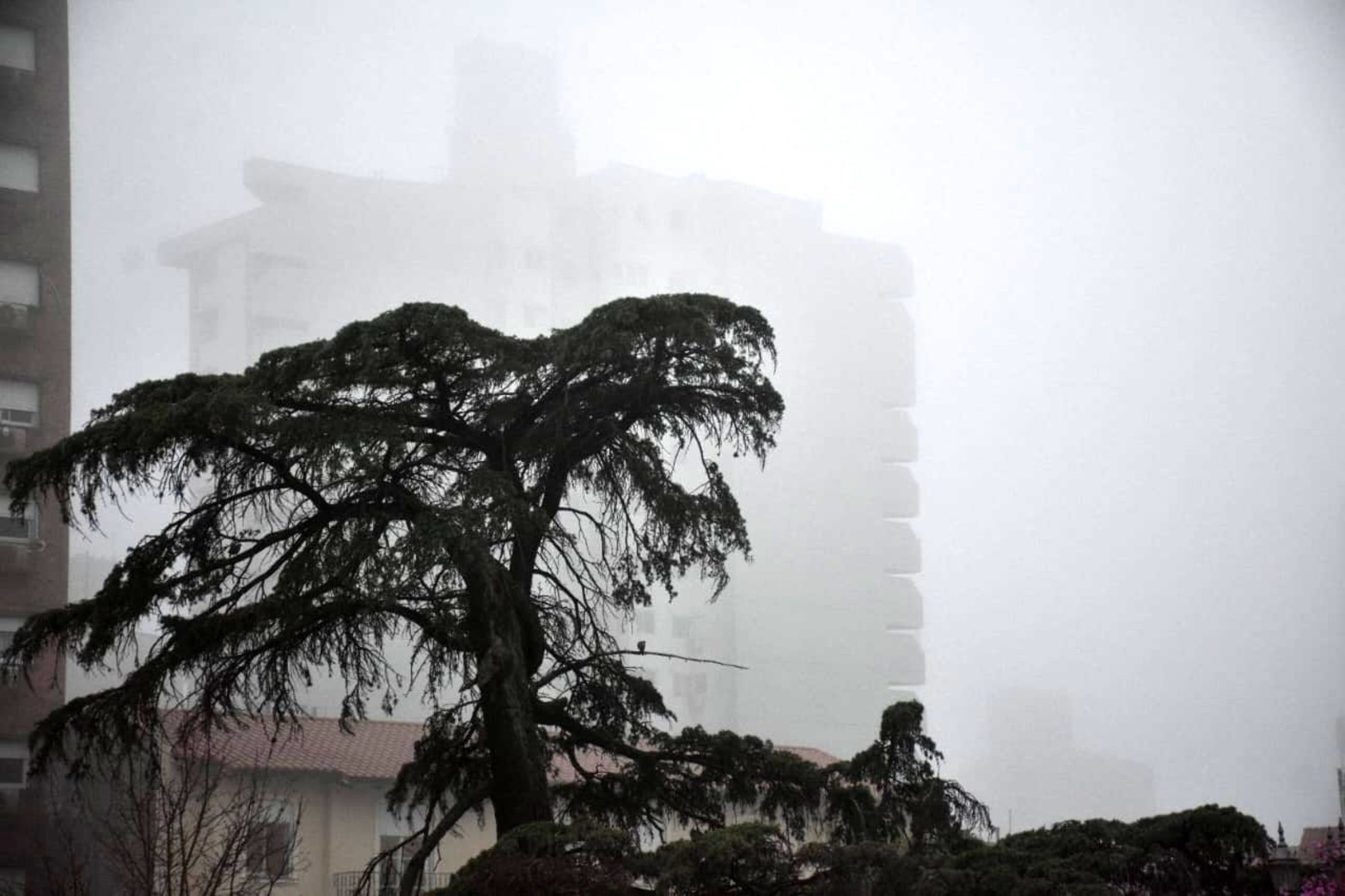 La niebla tapó la ciudad. Verde sobre blanco. La visibilidad comenzó a disminuir.