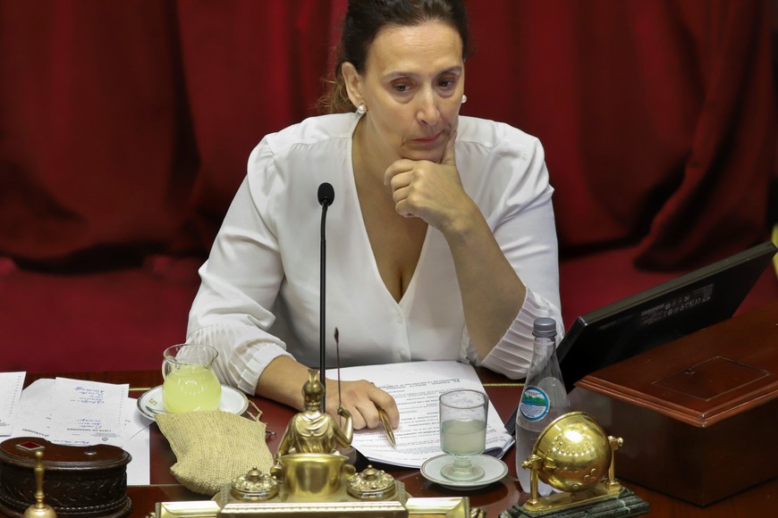 En su única postulación Gabriela Michetti fue electa vicepresidenta de la Nación en 2015.