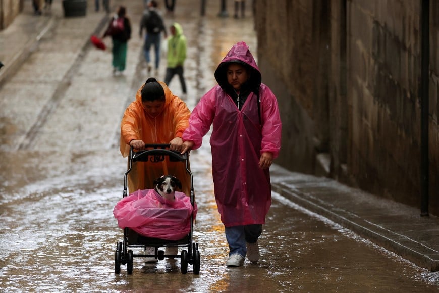 A couple and their dog wear rain ponchos during a heavy rain as they walk in Toledo, Spain September 3, 2023. REUTERS/Isabel Infantes