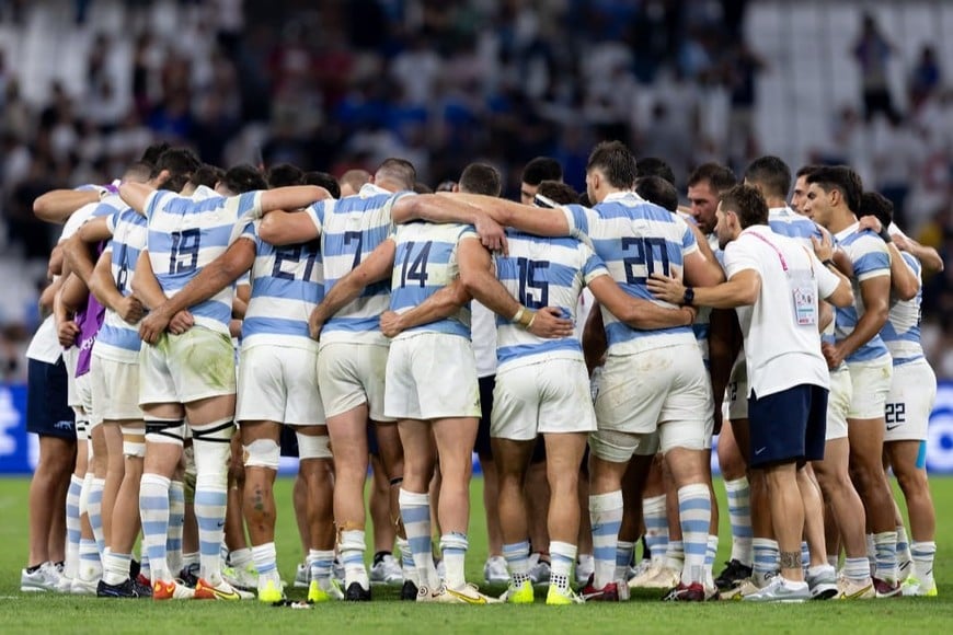 los pumas