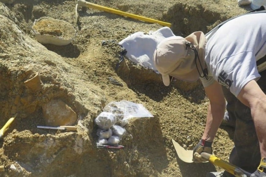 esqueleto humano gigante encontrado 2023