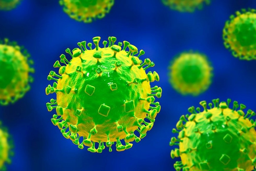 El virus está en la lista de enfermedades prioritarias del plan de investigación y desarrollo de la OMS.