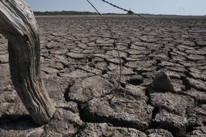 Por este motivo, se extendieron plazos para realizar trámites que permitan aprovechar subsidios, créditos o exenciones impositivas.