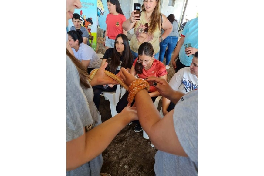 La sorpresa de los participantes con algunos "animalitos".