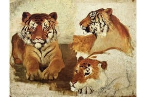 “Boceto de tigres” de Julia Wernicke. Foto: Museo Casa Yrurtia