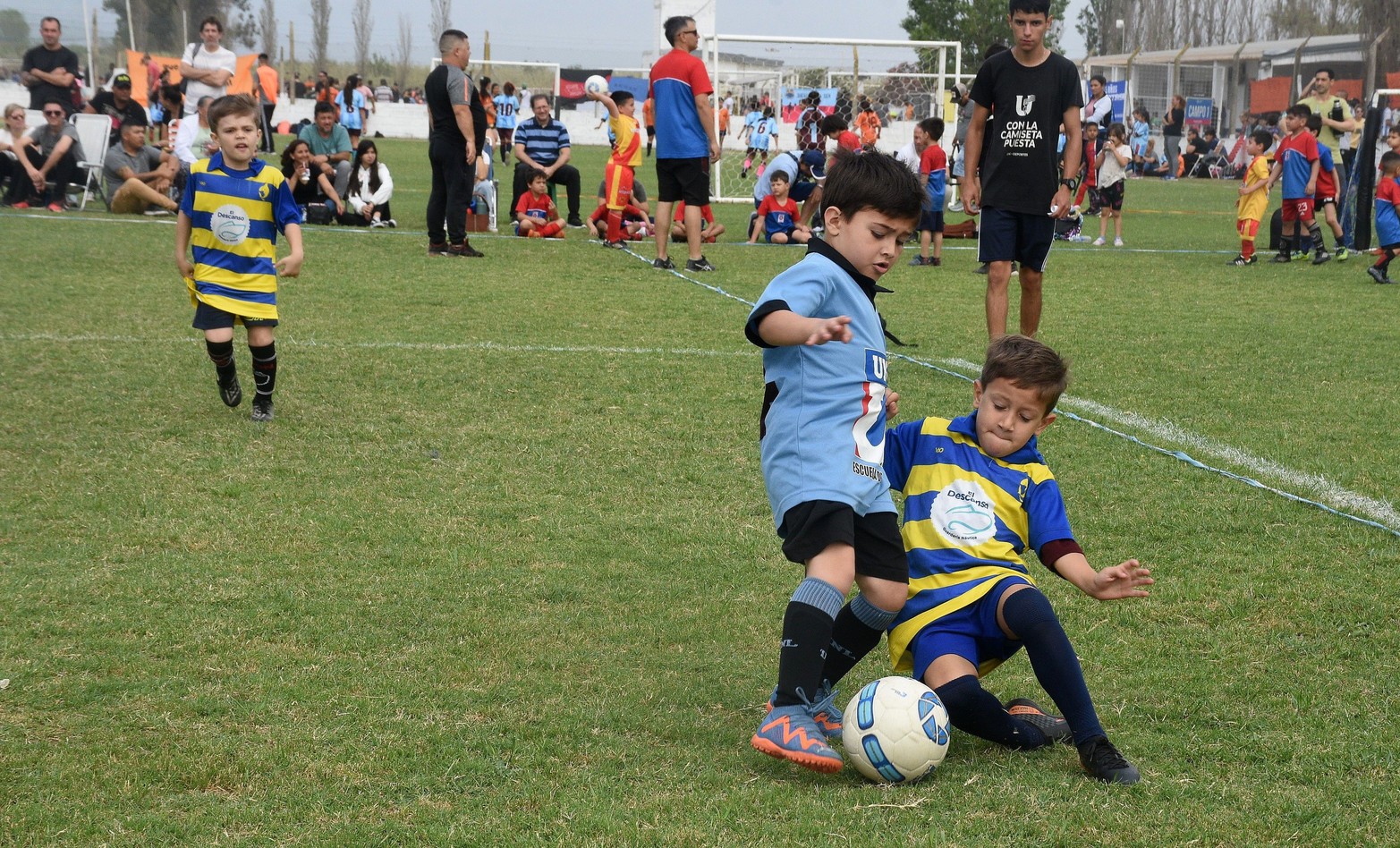 El predio Nery Pumpido, ubicado en el norte de la ciudad de Santa Fe, se convirtió en el escenario de la pasión y la emoción del fútbol infantil durante los Encuentros de Escuelitas de Fútbol.