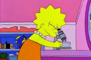 Lisa Simpson, el entrañable personaje de la serie animada estadounidense "Los Simpson" (desde 1989).