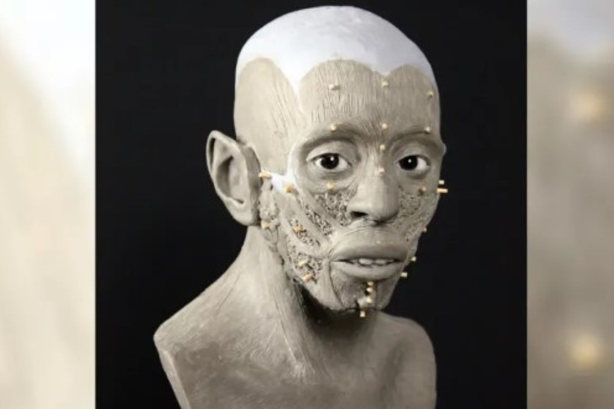 Los marcadores de profundidad de los tejidos y las tomografías computarizadas ayudaron a Oscar Nilsson a reconstruir el rostro de Juanita. Crédito: Cortesía Oscar Nilsson