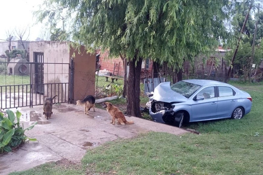 El coche que embistió un árbol y quedó a pocos metros de una casa.