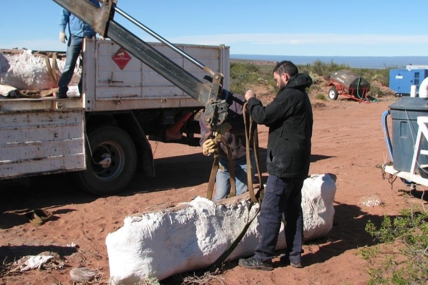 Craga de los fósiles con ayuda de maquinaria de la Municipalidad de Rincón de los Sauces (Neuquén). Crédito: gentileza investigadores.