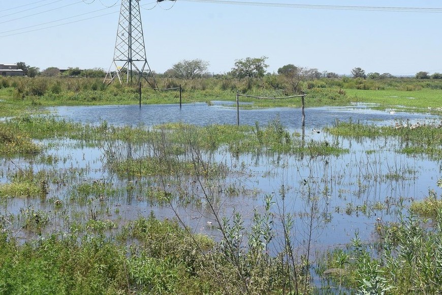 Las lagunas interiores reciben el desborde del río Paraná, luego de estar secos durante los últimos años de bajante. Foto: Guillermo Di Salvatore