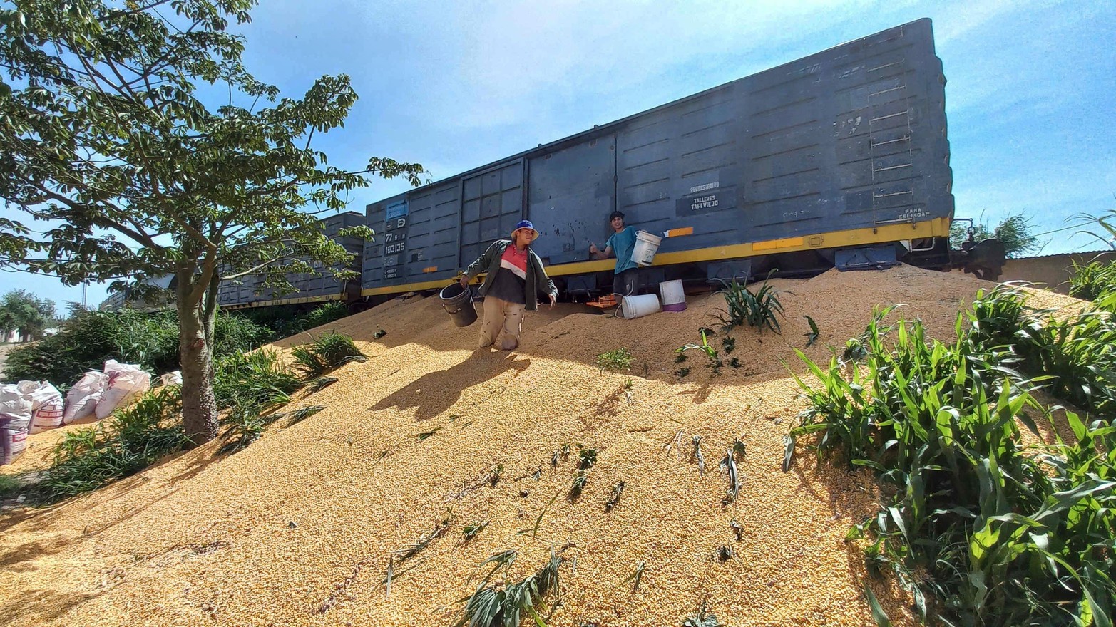 En barrio Santa Rosa de Lima, altura de Moreno. Además de la locomotora, descarrilaron cuatro vagones.